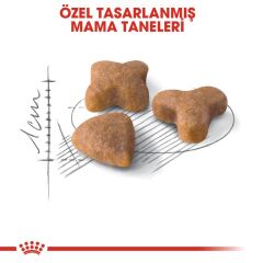 Royal Canin Sensible 33 Kuru Kedi Maması 2 kg