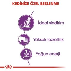 Royal Canin Sensible 33 Kuru Kedi Maması 2 kg