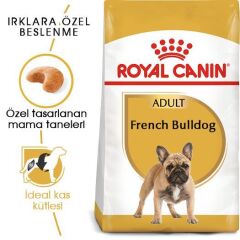 Royal Canin French Bulldog Yetişkin Köpek Maması 3 kg
