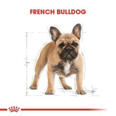 Royal Canin French Bulldog Yetişkin Köpek Maması 3 kg