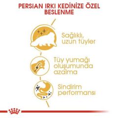 Royal Canin Persian Yetişkin Kedi Maması 2 kg