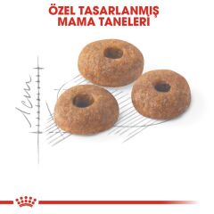 Royal Canin Fit 32  Kuru Kedi Maması 2 Kg