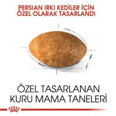 Royal Canin Persian Yetişkin Kedi Maması 4 kg