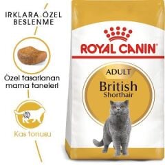 Royal Canin British Shorthair Yetişkin Kedi Maması 4 kg