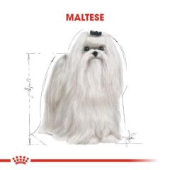 Royal Canin Maltese Bichon Yetişkin Köpek Maması 1,5 kg