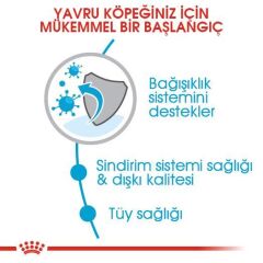 Royal Canin Mini Puppy Yavru Köpek Maması 2 kg