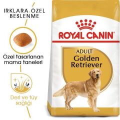 Royal Canin Adult Golden Retriever Özel Köpek Maması 12 kg
