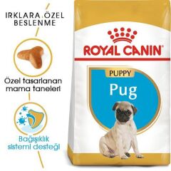 Royal Canin Pug Junior Yavru Köpek Maması 1,5 kg