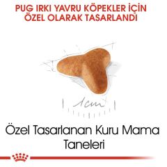 Royal Canin Pug Junior Yavru Köpek Maması 1,5 kg
