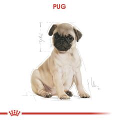 Royal Canin Pug Junior Yavru Köpek Maması 1,5 kg