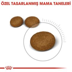 Royal Canin Hair&Skin Hassas Tüylü Kediler İçin Mama 4 kg
