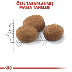 Royal Canin  +7 Yaş Üzeri Kısırlaştırılmış Kedi Maması 1,5 Kg