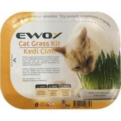 Ewox Cat Grass Kit Kedi Çimi