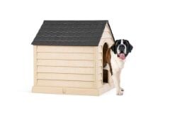 Şenyayla Köpek Kulübesi Büyük Boy 100*95*95