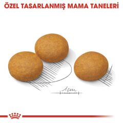 Royal Canin Maxi Dermacomfort Yetişkin Köpek Maması 12 Kg