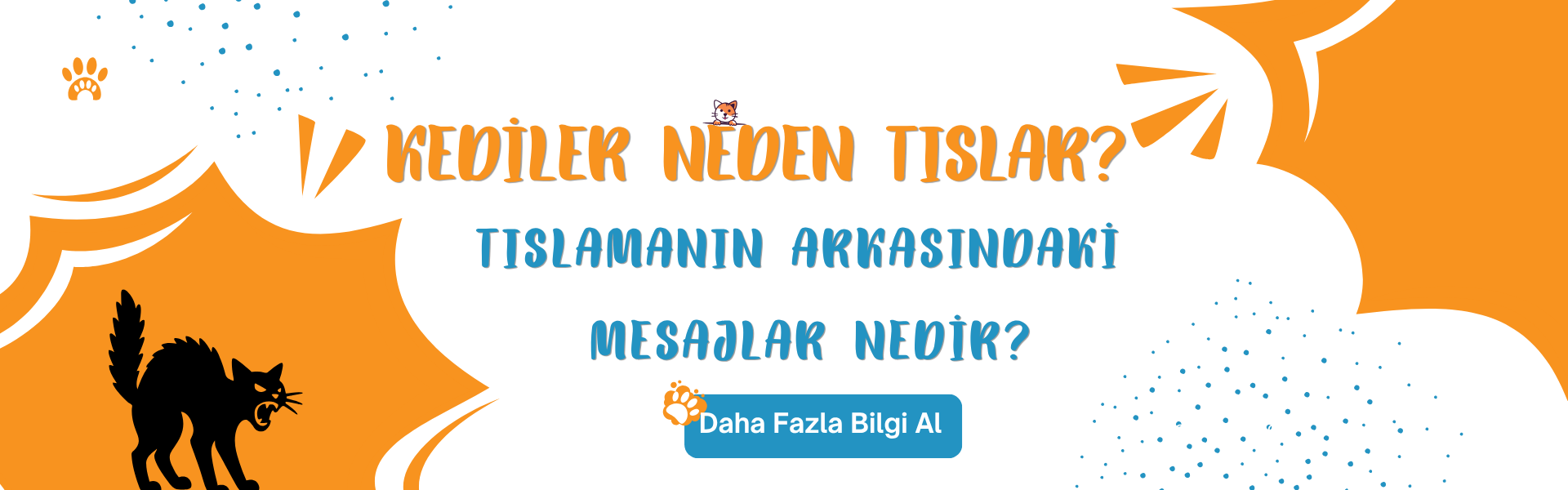 Kediler Neden Tıslar? Tıslamanın Arkasındaki Mesajlar