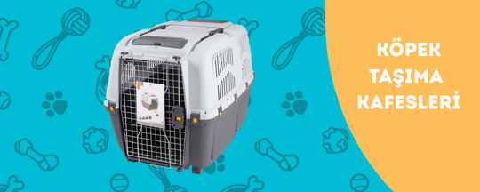 Köpek Taşımaları