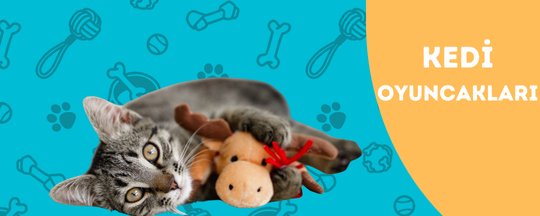 Kedi Oyuncakları